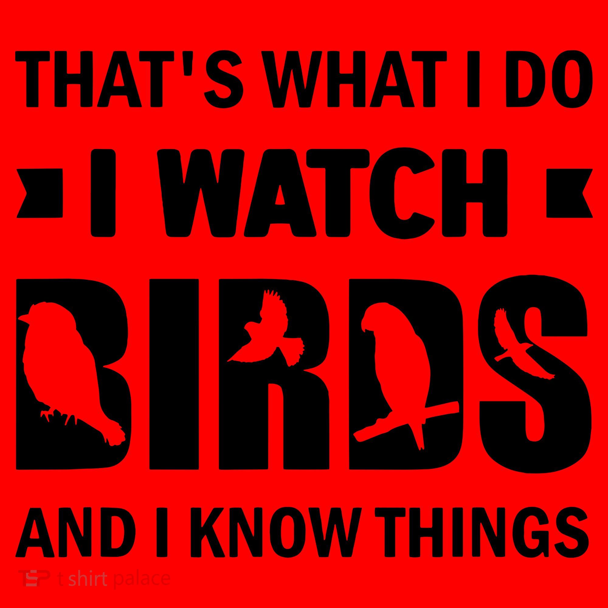 I Watch Birds And I Know Things Pet Bird Santa Hat