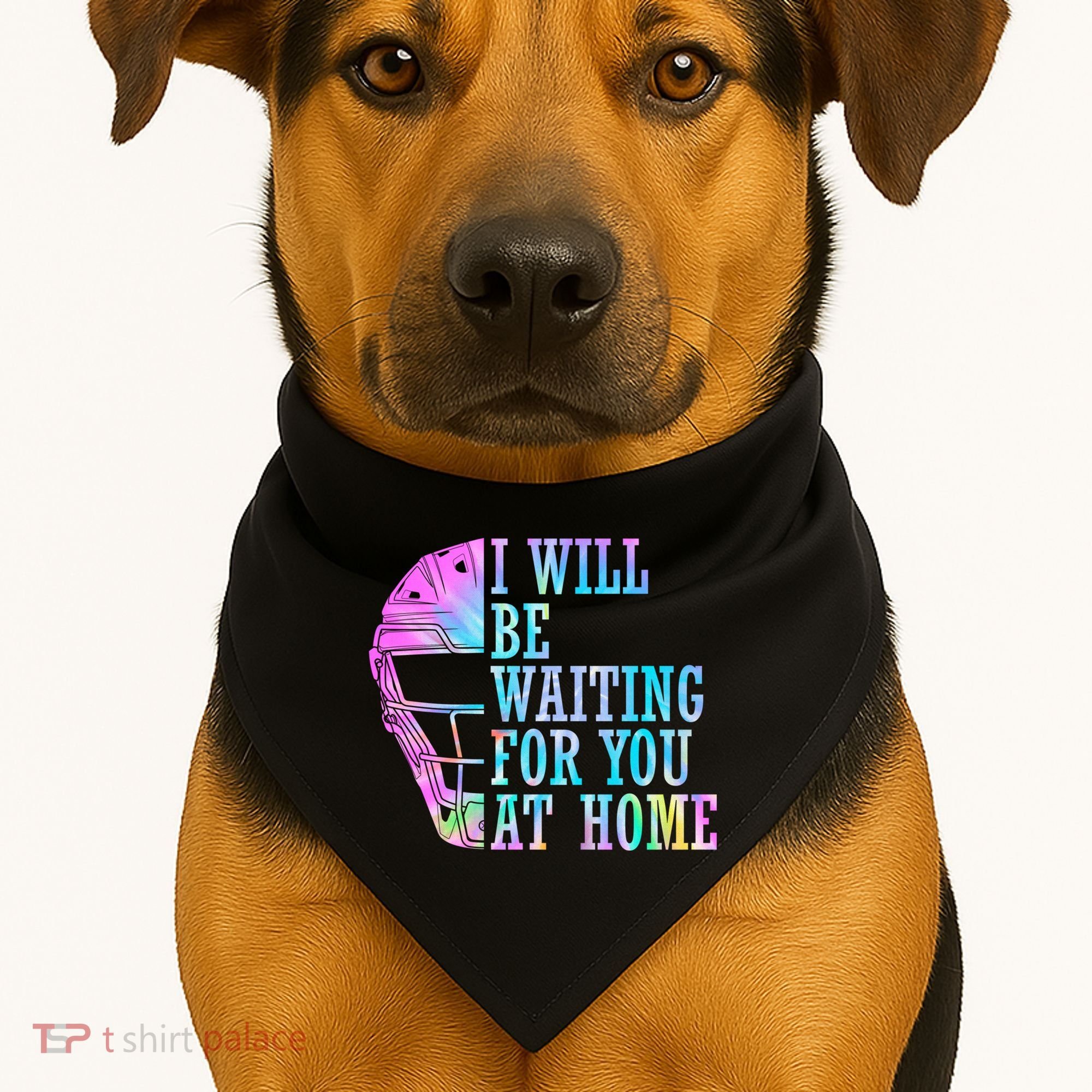I Will Be Waiting For You At Home Softball Catcher Gift USA-Made Doggie Bandana