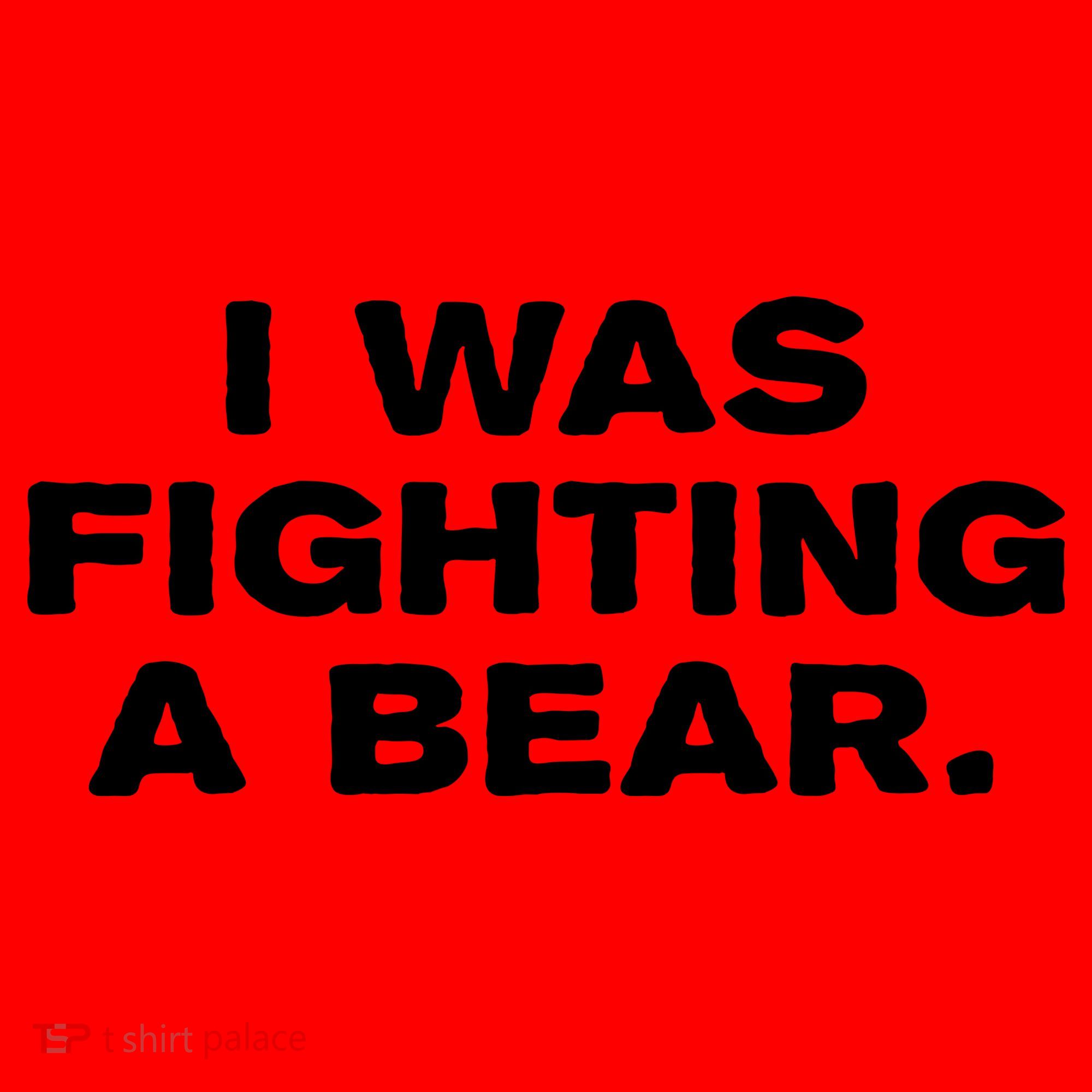 I Was Fighting A Bear Funny Santa Hat