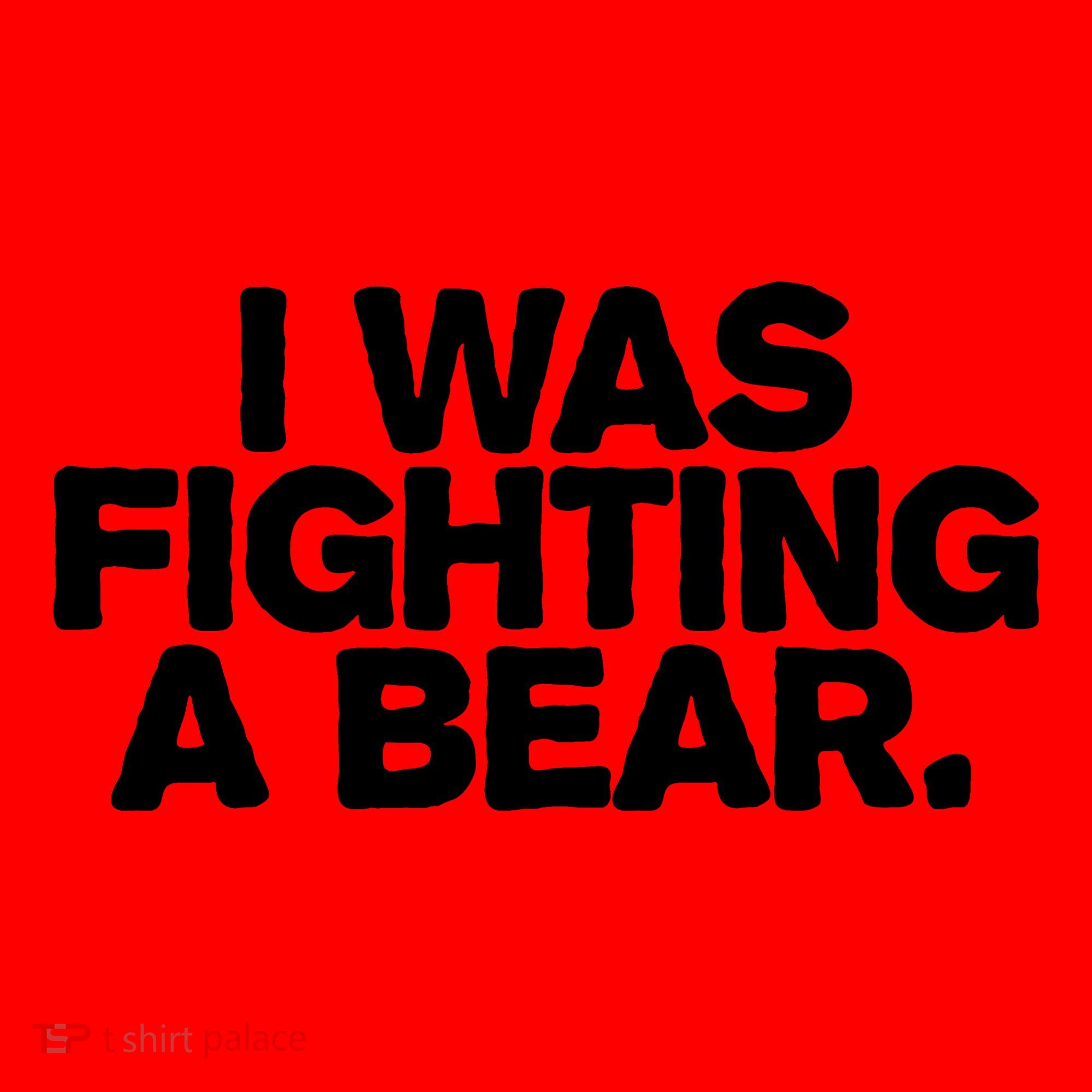 I Was Fighting A Bear Funny Injury Get Well Gift Santa Hat