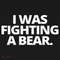 I Wanna Fighting A Bear Funny Injury Ornament thumb 1