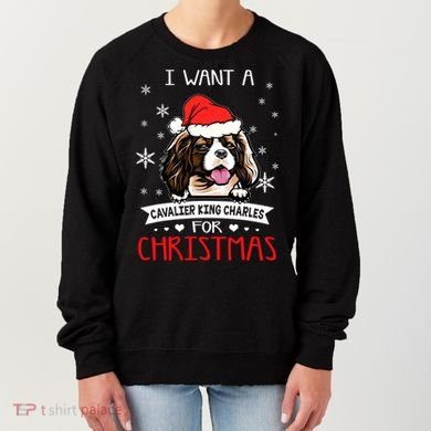 I Want For Christmas Is A Cavalier King Charles Spaniel Gift Women's Sweatshirt