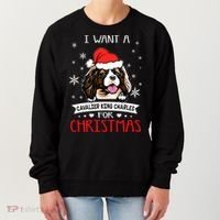 I Want For Christmas Is A Cavalier King Charles Spaniel Gift Women's Sweatshirt thumb 0