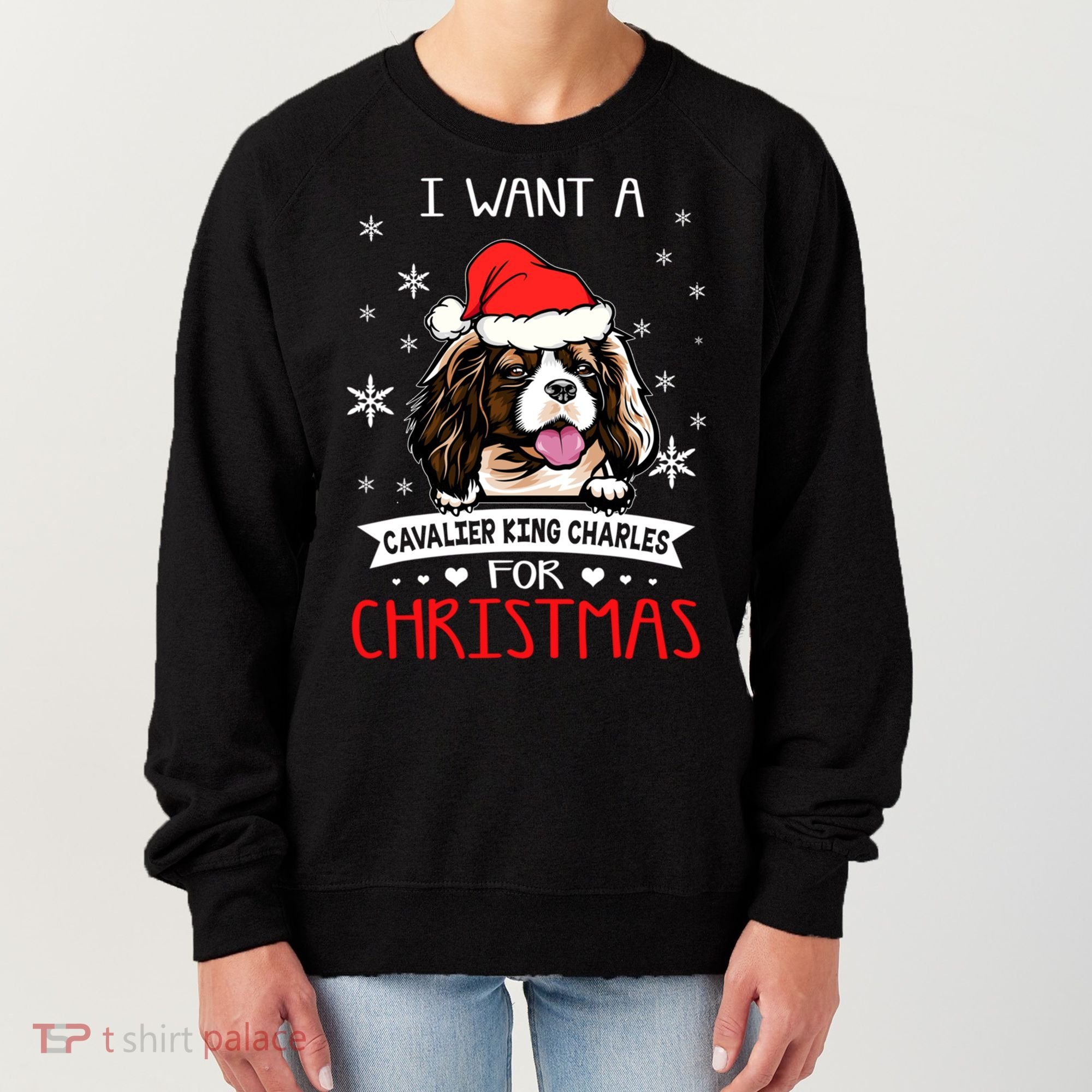 I Want For Christmas Is A Cavalier King Charles Spaniel Gift Women's Sweatshirt
