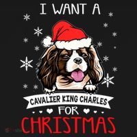 I Want For Christmas Is A Cavalier King Charles Spaniel Gift Women's Hoodie thumb 2