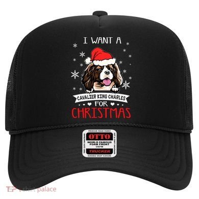 I Want For Christmas Is A Cavalier King Charles Spaniel Gift Hat