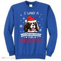 I Want For Christmas Is A Cavalier King Charles Spaniel Gift Sweatshirt thumb 0