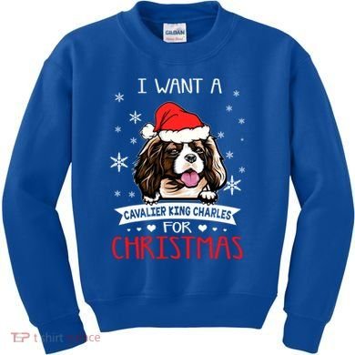 I Want For Christmas Is A Cavalier King Charles Spaniel Gift Kids Sweatshirt