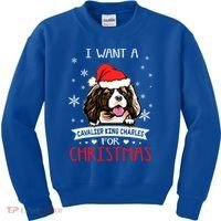 I Want For Christmas Is A Cavalier King Charles Spaniel Gift Kids Sweatshirt thumb 0