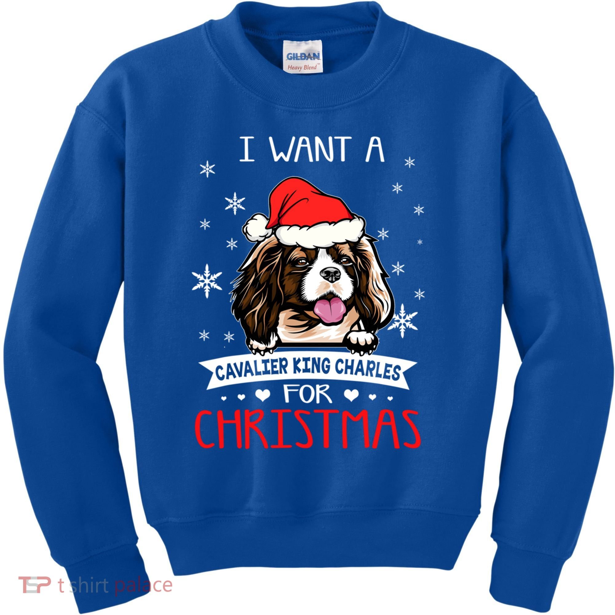 I Want For Christmas Is A Cavalier King Charles Spaniel Gift Kids Sweatshirt