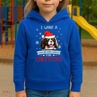 I Want For Christmas Is A Cavalier King Charles Spaniel Gift Kids Hoodie thumb 3