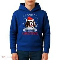 I Want For Christmas Is A Cavalier King Charles Spaniel Gift Kids Hoodie thumb 4