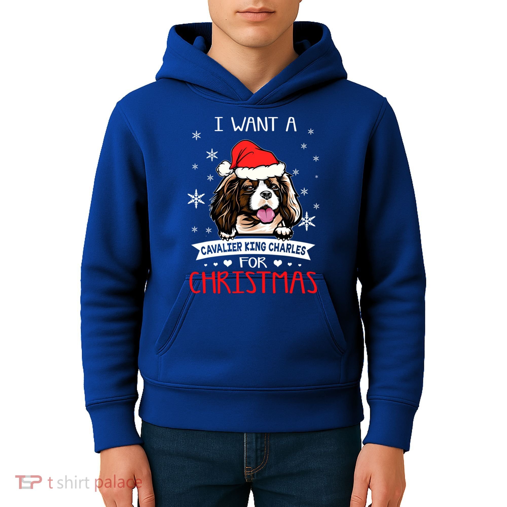 I Want For Christmas Is A Cavalier King Charles Spaniel Gift Kids Hoodie