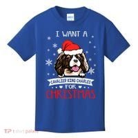 I Want For Christmas Is A Cavalier King Charles Spaniel Gift Kids T-Shirt thumb 0