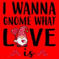 I Wanna Gnome What Love Is Valentine Day Santa Hat thumb 1