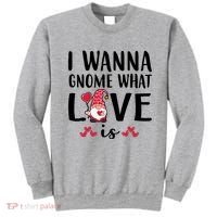 I Wanna Gnome What Love Is Valentine Day Sweatshirt thumb 0