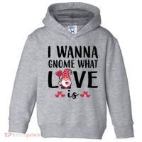 I Wanna Gnome What Love Is Valentine Day Toddler Hoodie thumb 0