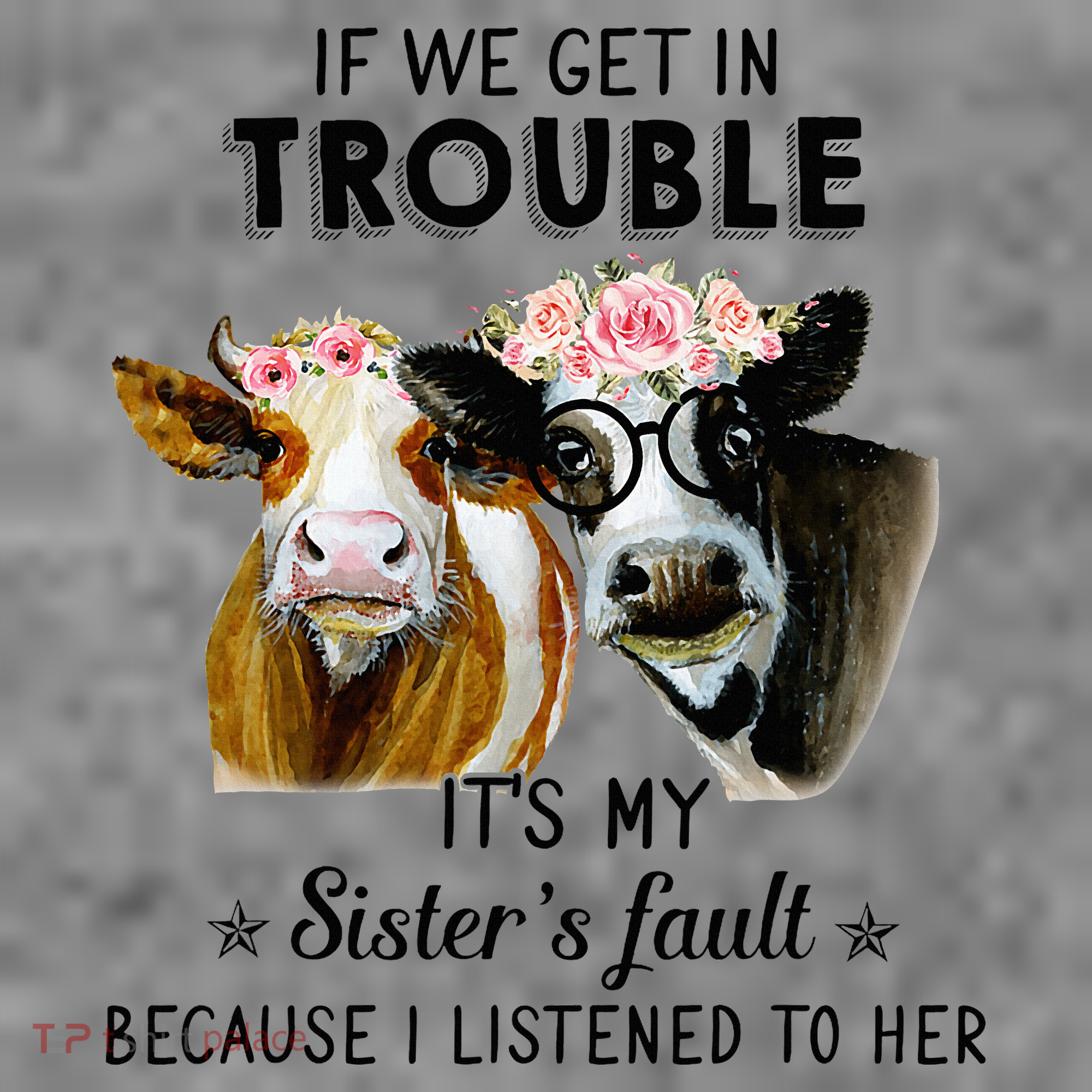 If We Get In Trouble ItS My SisterS Fault Toddler Hoodie
