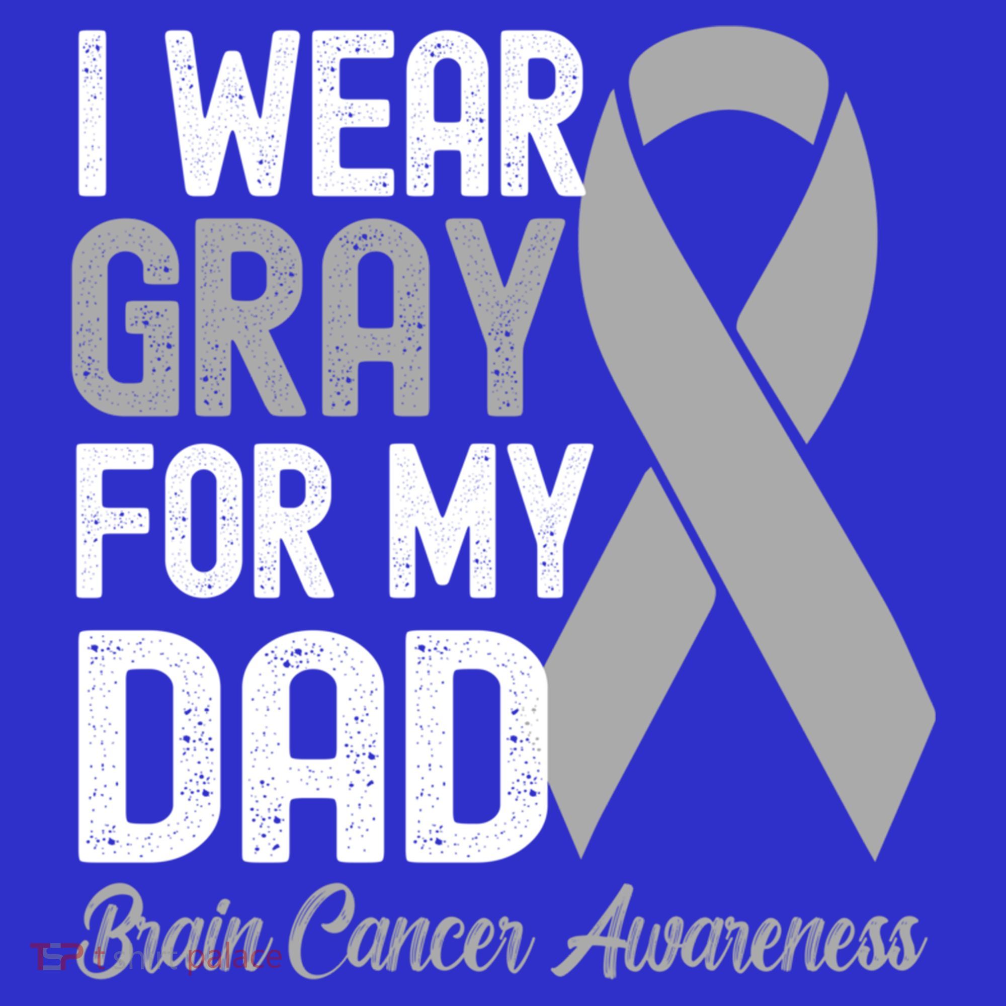 I Wear Gray For My Dad Brain Cancer Awareness Gift Hoodie