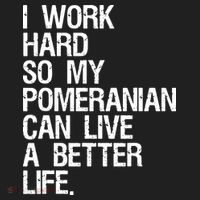I Work Hard So My Pomeranian Can Live A Better Life Women's Sweatshirt thumb 2