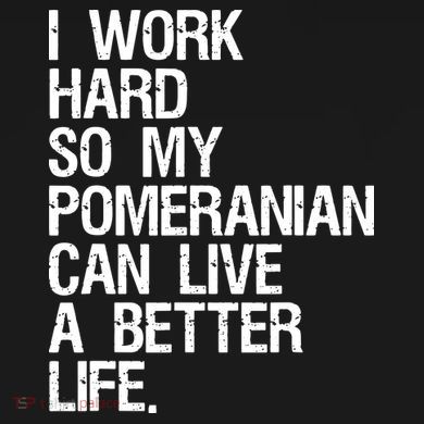I Work Hard So My Pomeranian Can Live A Better Life Ornament