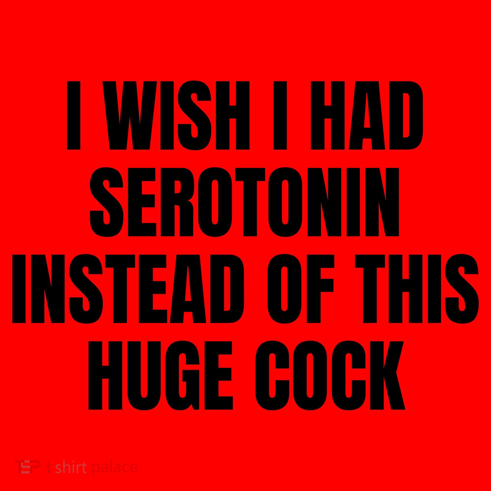 I Wish I Had Serotonin Instead Of This Huge Cock Santa Hat