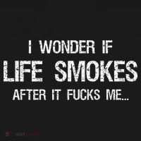 I Wonder If Life Smokes After It Fucks Me Vintage Sarcastic T-Shirt thumb 7