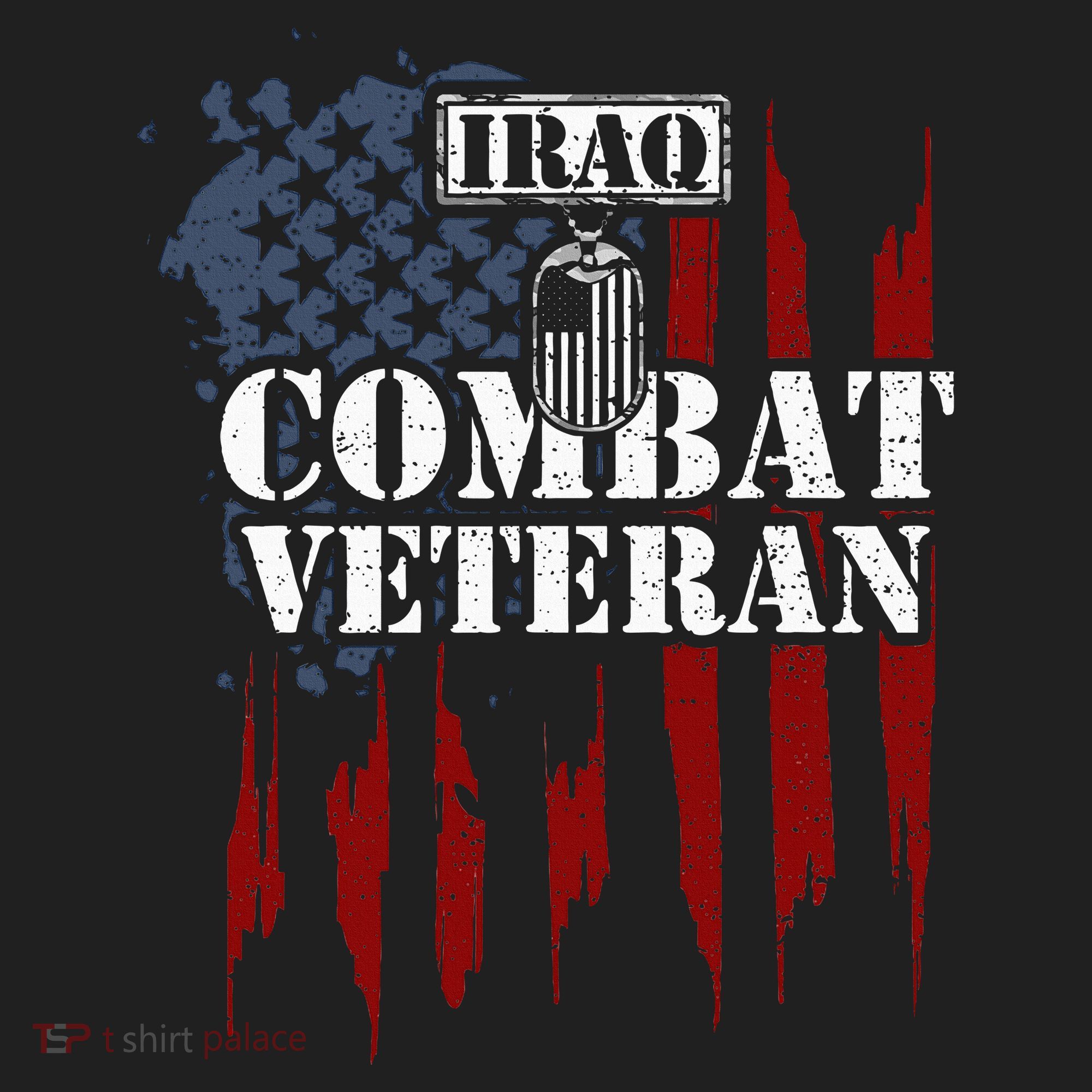 Iraq War Iraq Combat Veteran Beanie