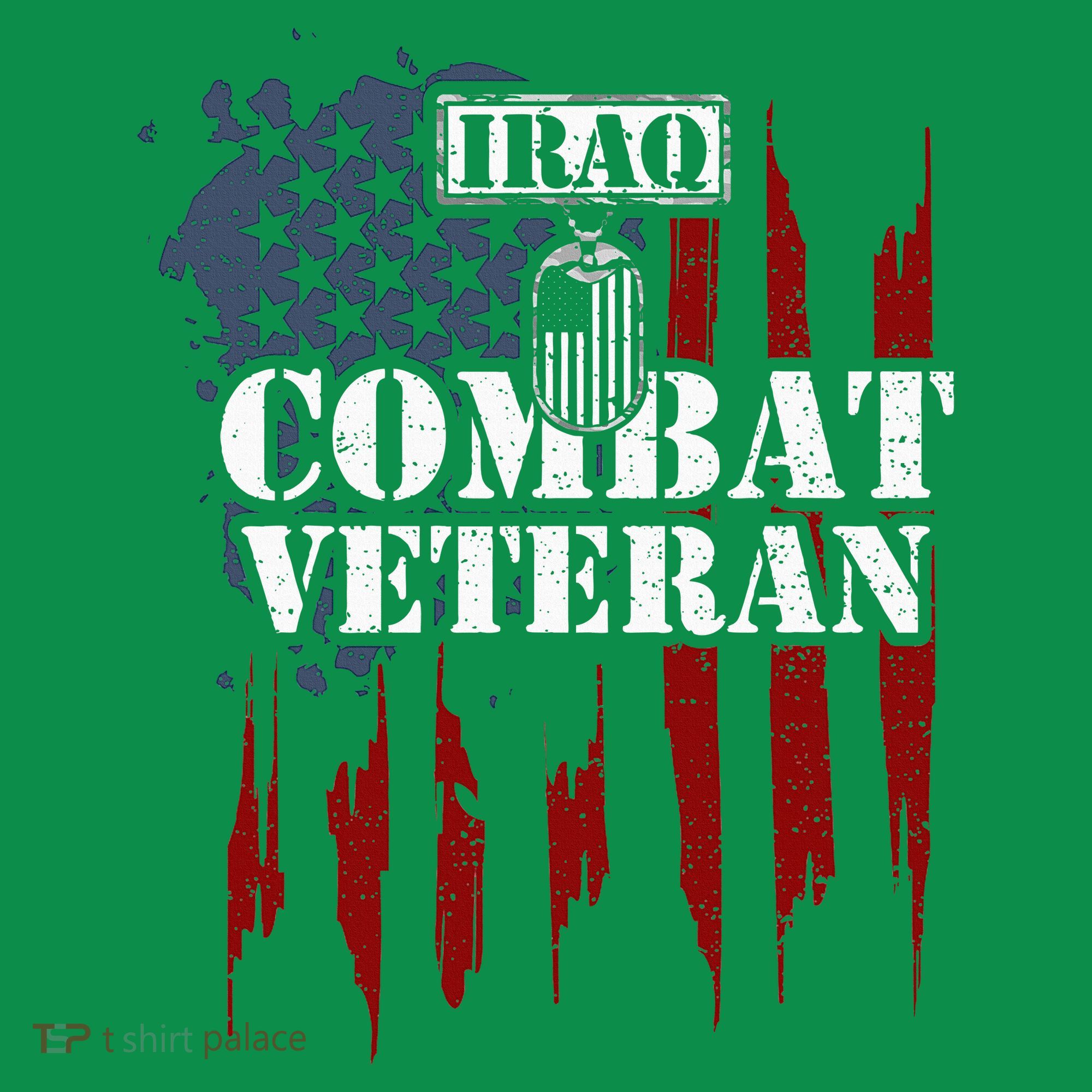 Iraq War Iraq Combat Veteran Ornament
