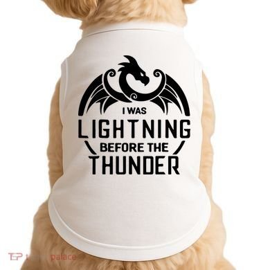I Was Lightning Before The Thunder Doggie Tank