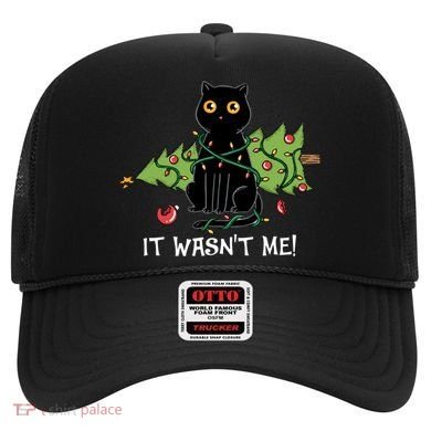 It Wasnt Me Christmas Tree Funny Cat Hat