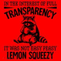 It Was Not Easy Peasy Lemon Squeezy Raccoon Meme Santa Hat thumb 1