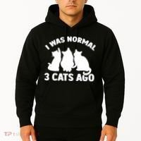 I Was Normal 3 Cats Ago Cat Kitten Kitty Hoodie thumb 2