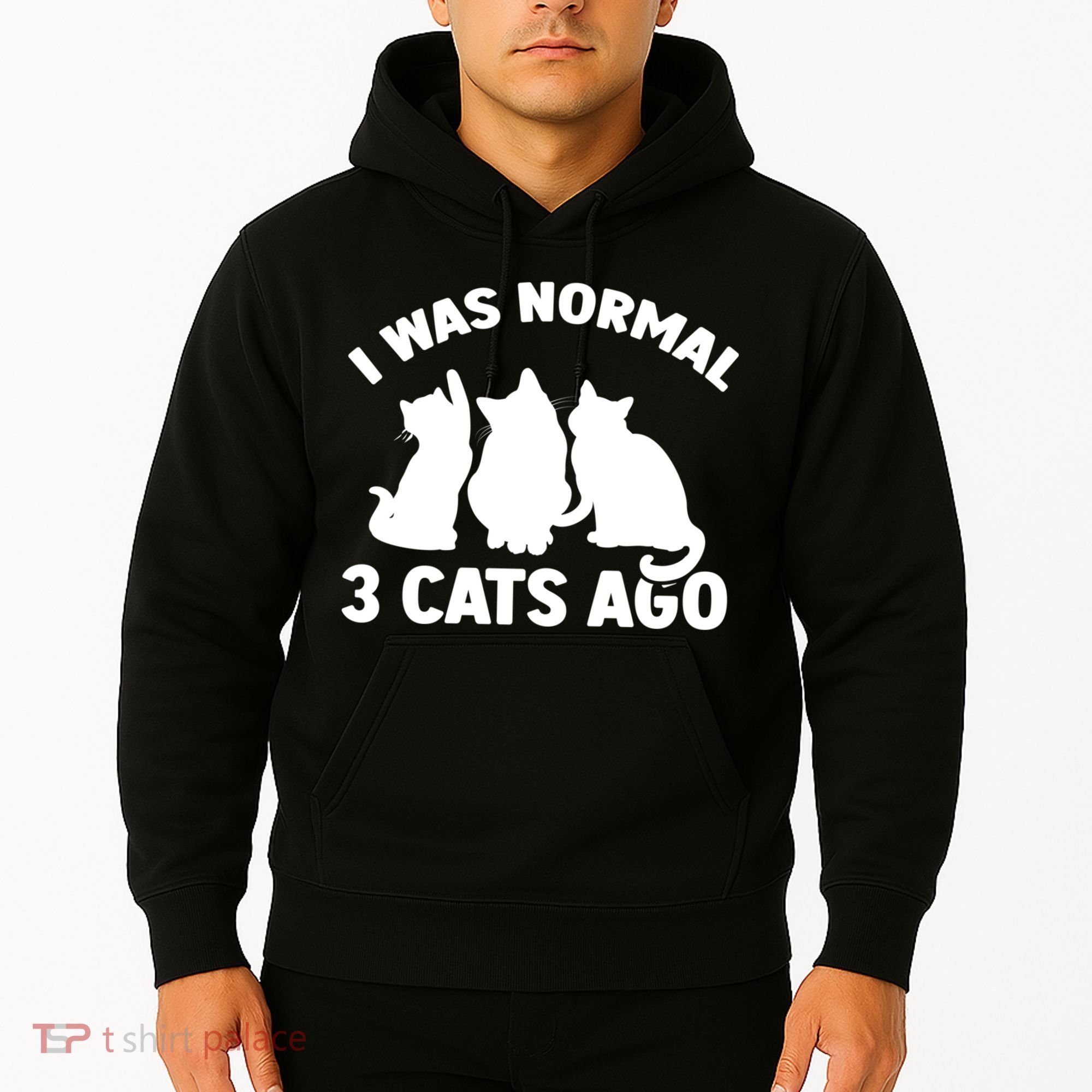 I Was Normal 3 Cats Ago Cat Kitten Kitty Hoodie
