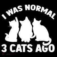 I Was Normal 3 Cats Ago Cat Kitten Kitty Coaster thumb 2