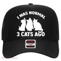 I Was Normal 3 Cats Ago Cat Kitten Kitty Hat thumb 0