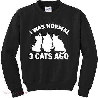 I Was Normal 3 Cats Ago Cat Kitten Kitty Kids Sweatshirt
