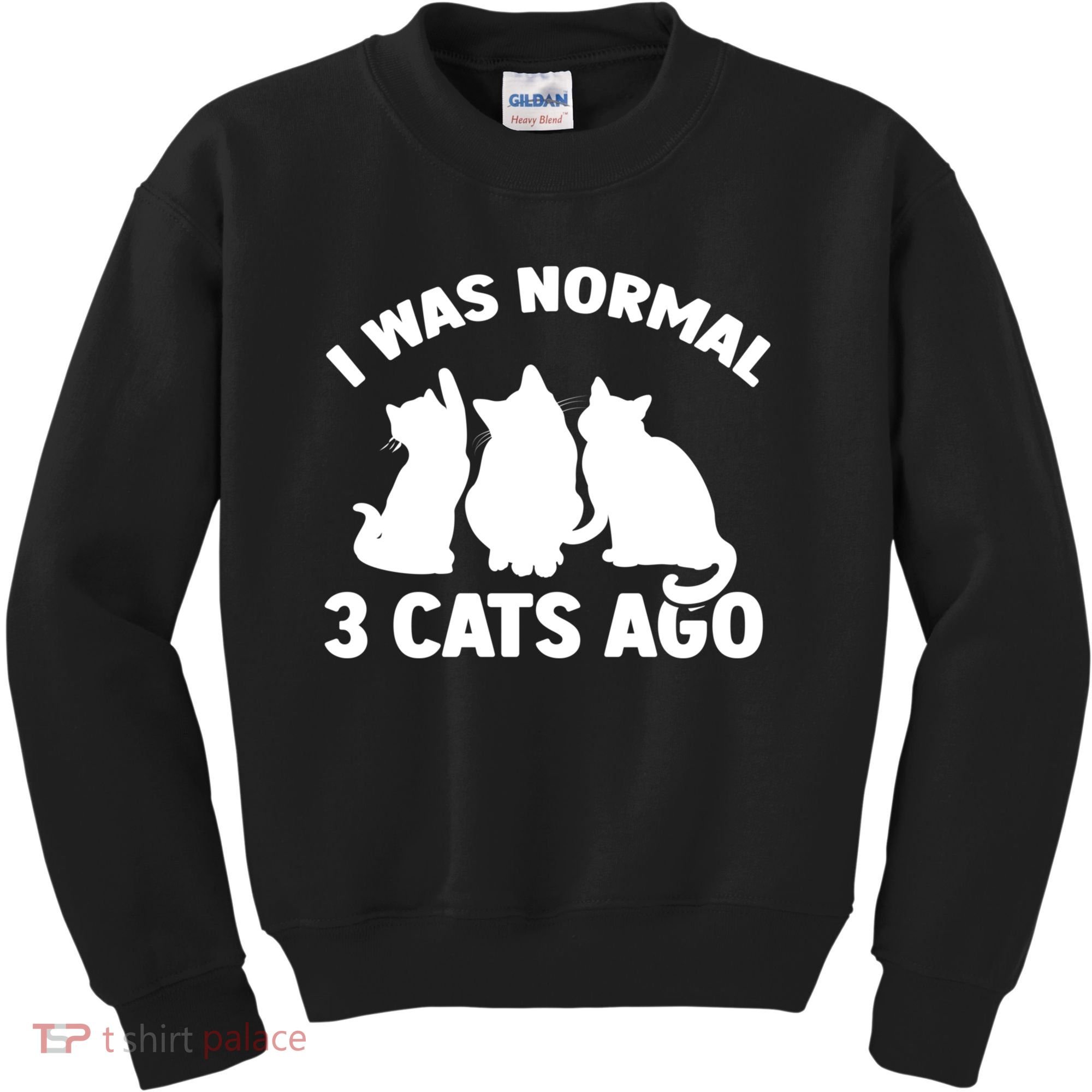 I Was Normal 3 Cats Ago Cat Kitten Kitty Kids Sweatshirt
