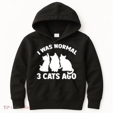 I Was Normal 3 Cats Ago Cat Kitten Kitty Kids Hoodie