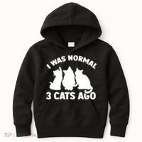 I Was Normal 3 Cats Ago Cat Kitten Kitty Kids Hoodie thumb 0