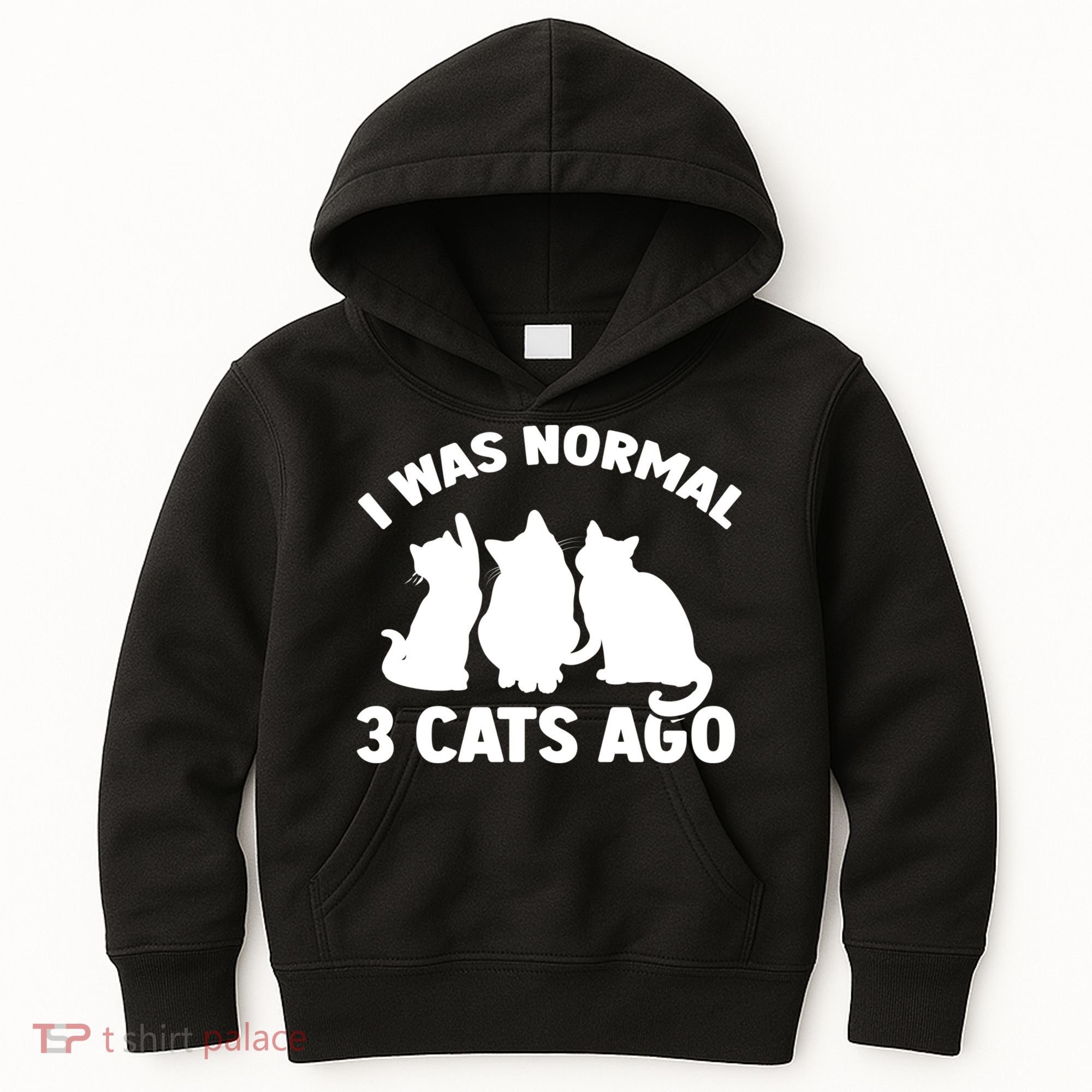 I Was Normal 3 Cats Ago Cat Kitten Kitty Kids Hoodie