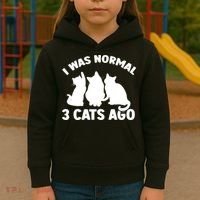 I Was Normal 3 Cats Ago Cat Kitten Kitty Kids Hoodie thumb 3