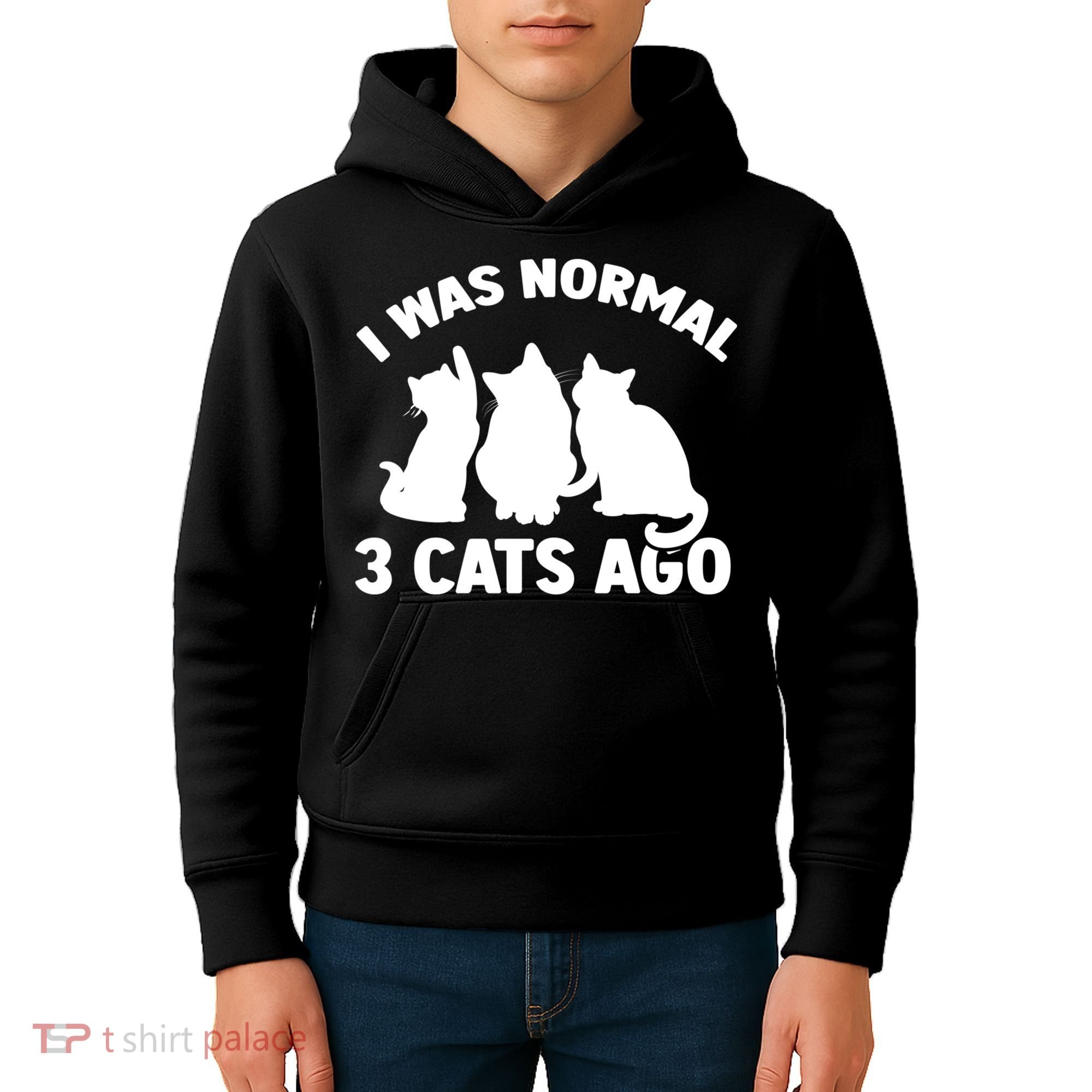 I Was Normal 3 Cats Ago Cat Kitten Kitty Kids Hoodie