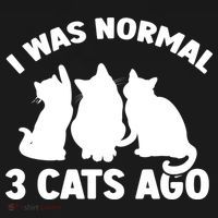 I Was Normal 3 Cats Ago Cat Kitten Kitty Kids T-Shirt thumb 4