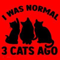 I Was Normal 3 Cats Ago Cat Kitten Kitty Santa Hat thumb 1