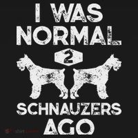 I Was Normal 2 Schnauzers Ago Funny Dog Lover Women Women's Hoodie thumb 2