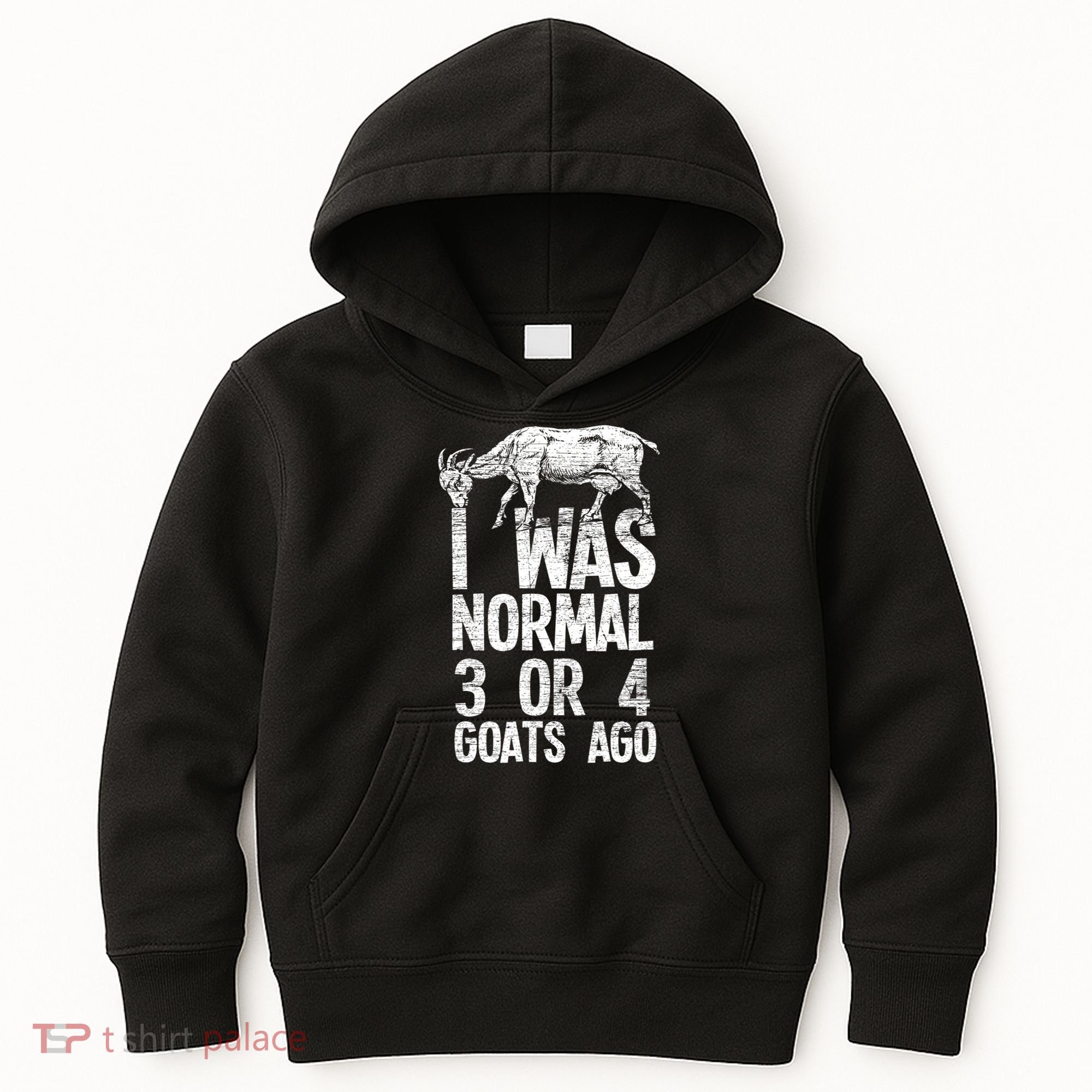 I Was Normal 3 Or 4 Goats Ago Goat Kids Hoodie