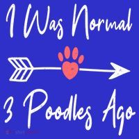 I Was Normal 3 Poodles Ago Funny Poodle Dog Puppy Lover Gift Kids Sweatshirt thumb 2