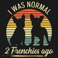 I Was Normal 2 Frenchies Ago Quote For A Frenchie Owner V-Neck T-Shirt thumb 3