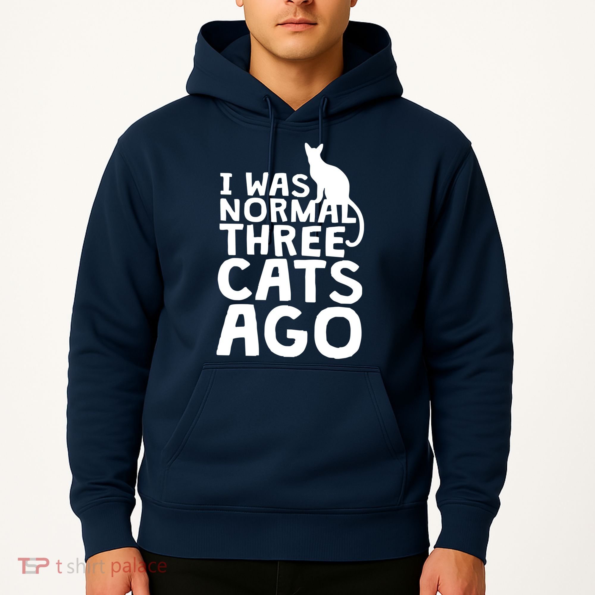 I Was Normal Three Cats Ago LOL Funny Cat Hoodie
